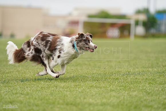 RielVisuals_20240526_133013_SJR08025