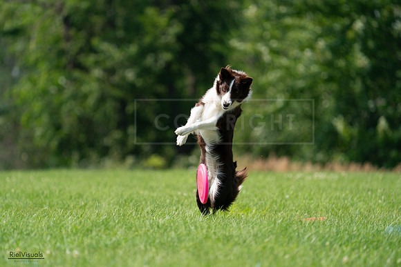 RielVisuals_20240727_140349_SJR09456
