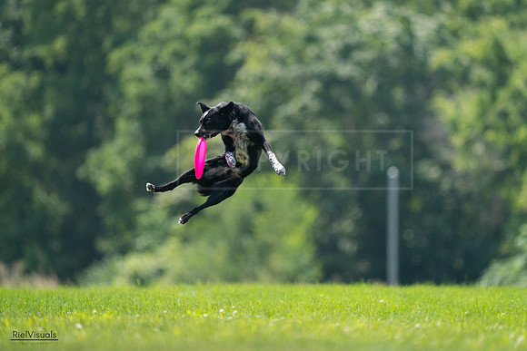 RielVisuals_20240727_125932_SJR06483