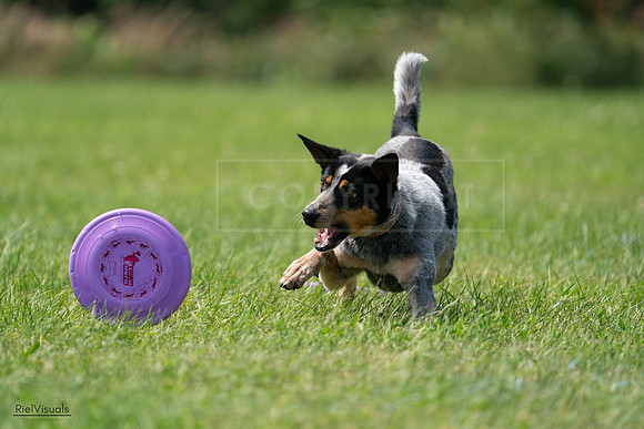 RielVisuals_20240728_132410_SJR06094