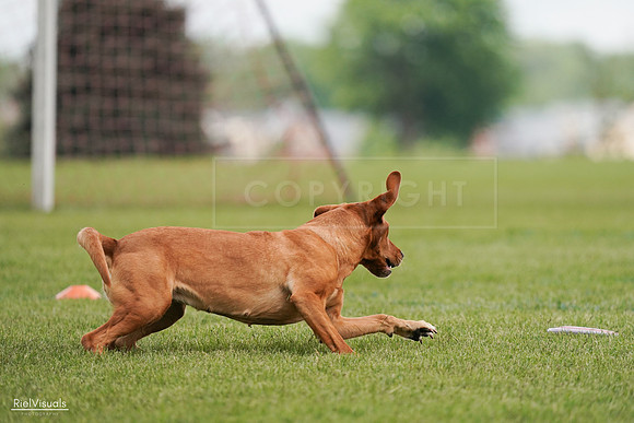 RielVisuals_20240527_141053_SJR01743