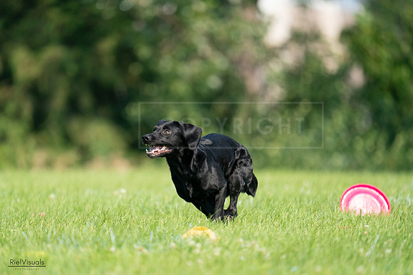 RielVisuals_20240727_100912_SJR08656