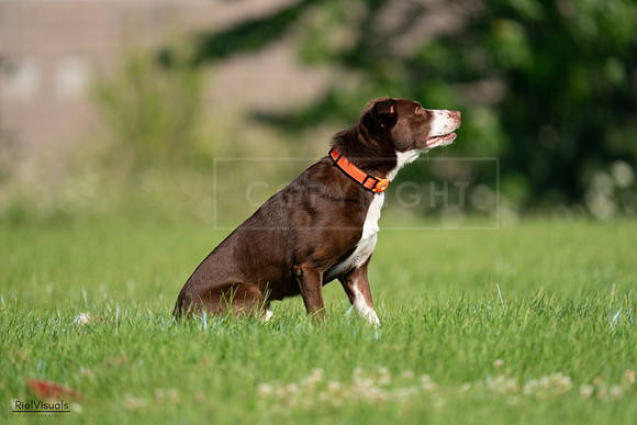 RielVisuals_20240727_093623_SJR06898