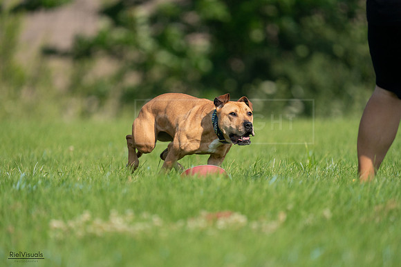 RielVisuals_20240727_093057_SJR06592