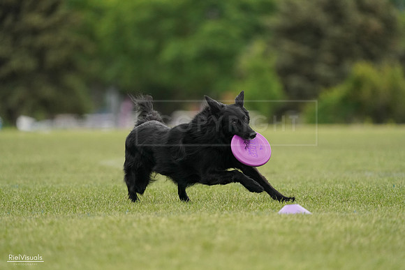 RielVisuals_20240526_133802_SJR08405