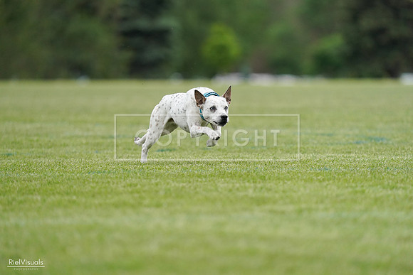 RielVisuals_20240525_160358_SJR03377