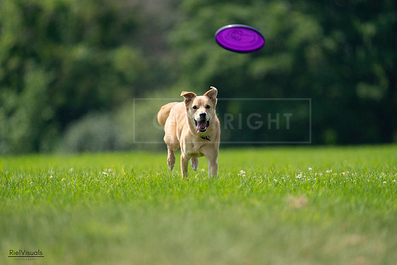 RielVisuals_20240727_120045_SJR04503