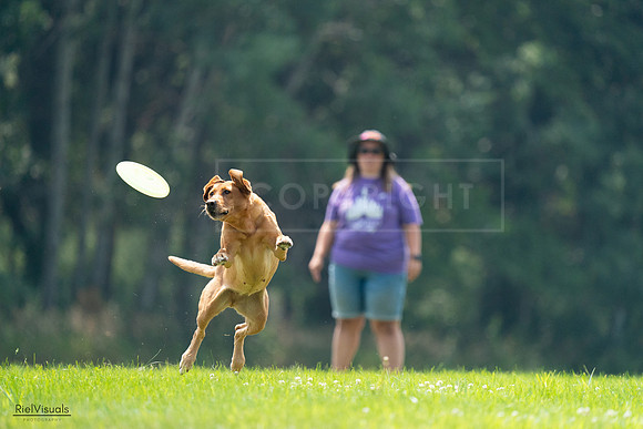RielVisuals_20240727_122346_SJR05420