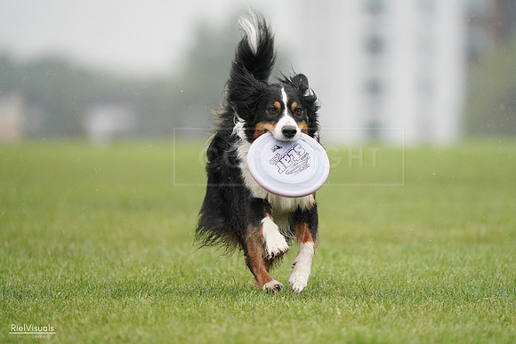 RielVisuals_20240527_104849_SJR01834