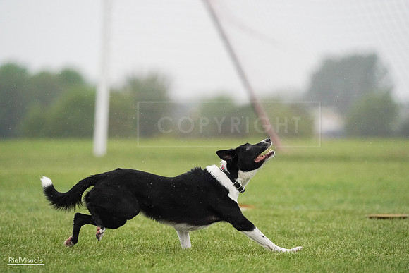 RielVisuals_20240527_094737_SJR09100