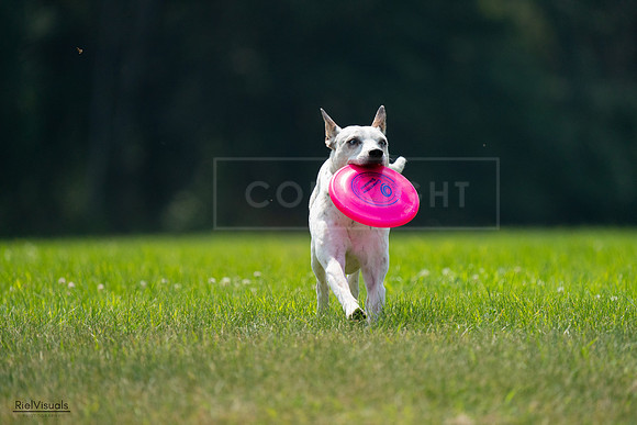 RielVisuals_20240727_120944_SJR04878