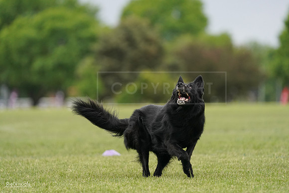 RielVisuals_20240526_133849_SJR08496