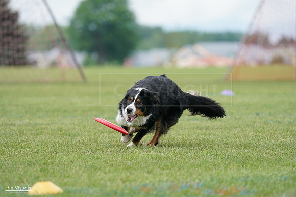 RielVisuals_20240527_142424_SJR02652