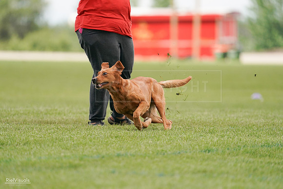 RielVisuals_20240527_141149_SJR01921