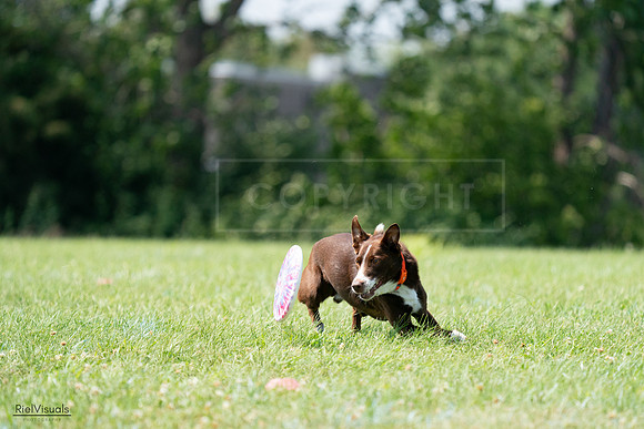 RielVisuals_20240728_144915_SJR09242