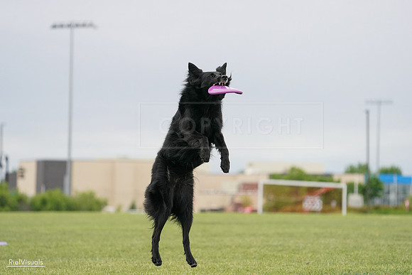 RielVisuals_20240526_133850_SJR08509