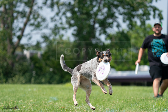 RielVisuals_20240727_133956_SJR07993