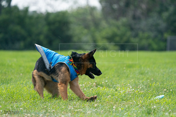 RielVisuals_20240728_135156_SJR07320
