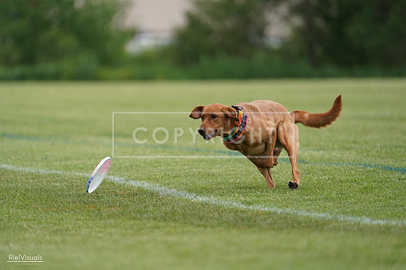 RielVisuals_20240525_160839_SJR03565