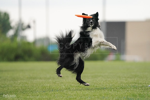 RielVisuals_20240526_095518_SJR01386