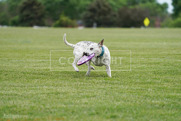 RielVisuals_20240525_160331_SJR03343