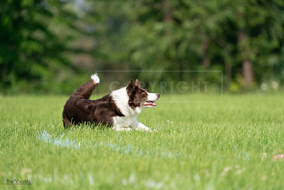 RielVisuals_20240727_095857_SJR08194