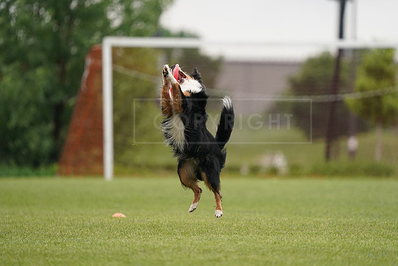 RielVisuals_20240527_122701_SJR06254