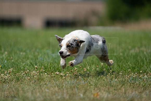 RielVisuals_20240727_140138_SJR09379