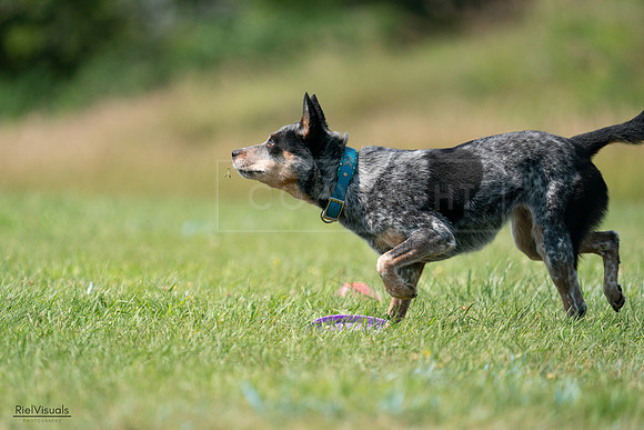 RielVisuals_20240728_145218_SJR09430