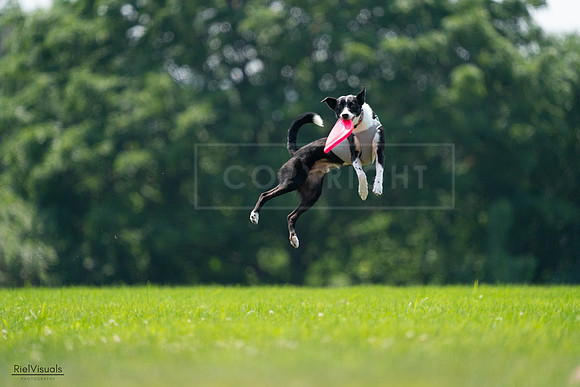 RielVisuals_20240727_130738_SJR06915
