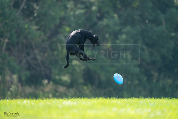 RielVisuals_20240727_122720_SJR05579