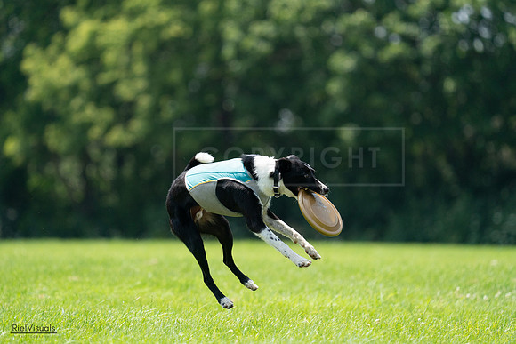RielVisuals_20240728_132802_SJR06301