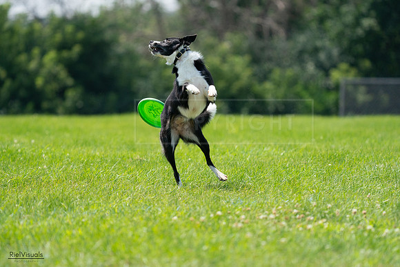 RielVisuals_20240728_123832_SJR04408