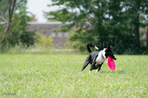 RielVisuals_20240728_144033_SJR08885