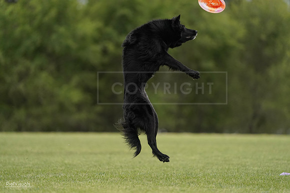 RielVisuals_20240526_133757_SJR08380