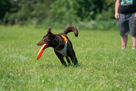 RielVisuals_20240728_114131_SJR01637