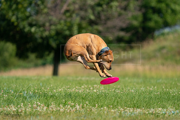 RielVisuals_20240727_093110_SJR06631