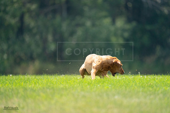 RielVisuals_20240727_122359_SJR05439