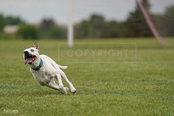 RielVisuals_20240526_134259_SJR08851