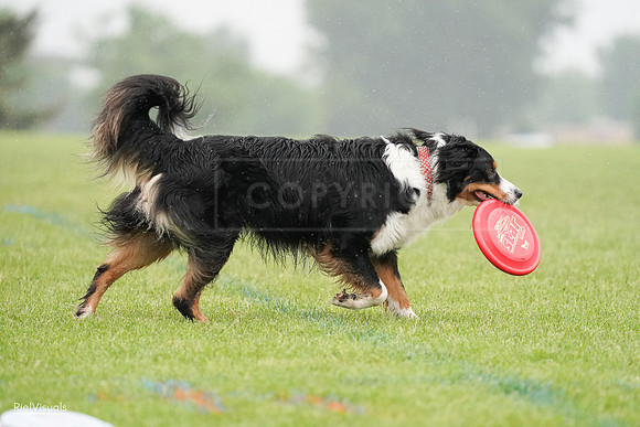 RielVisuals_20240527_104650_SJR01600