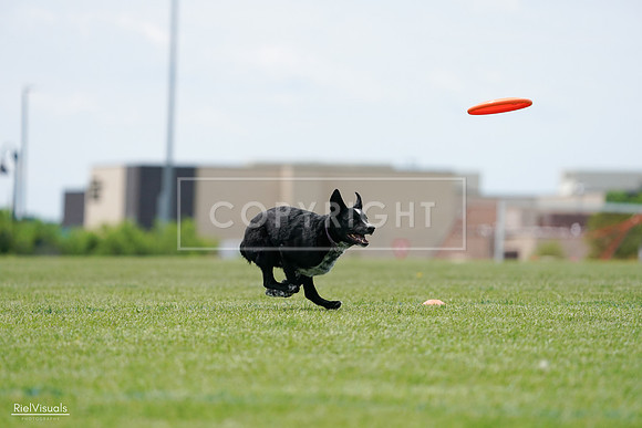 RielVisuals_20240525_124900_SJR01212