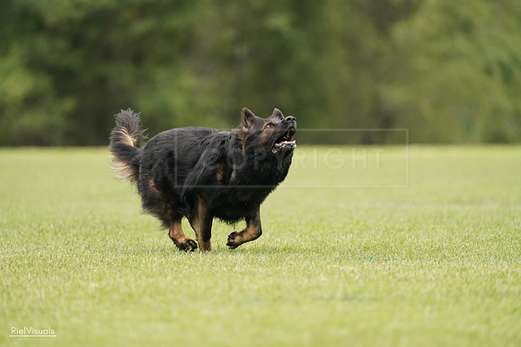 RielVisuals_20240527_133011_SJR00053