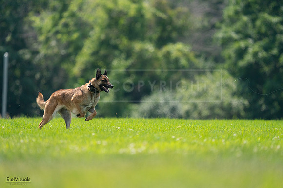 RielVisuals_20240727_131914_SJR07551