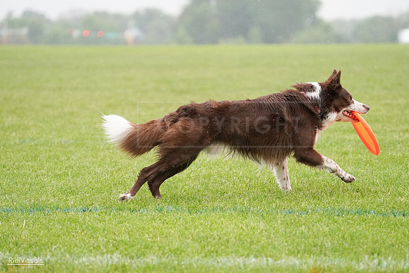 RielVisuals_20240527_104435_SJR01484