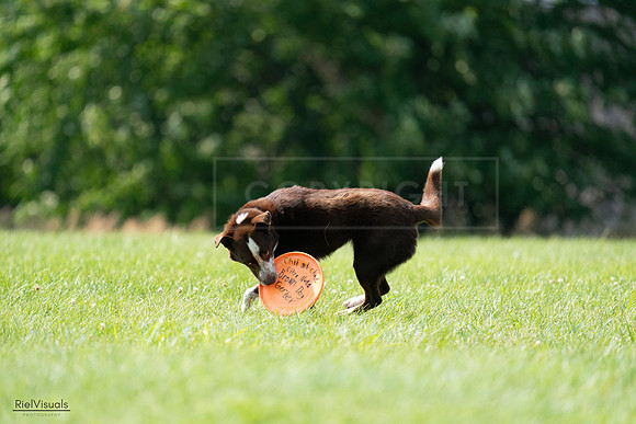 RielVisuals_20240728_152000_SJR00575