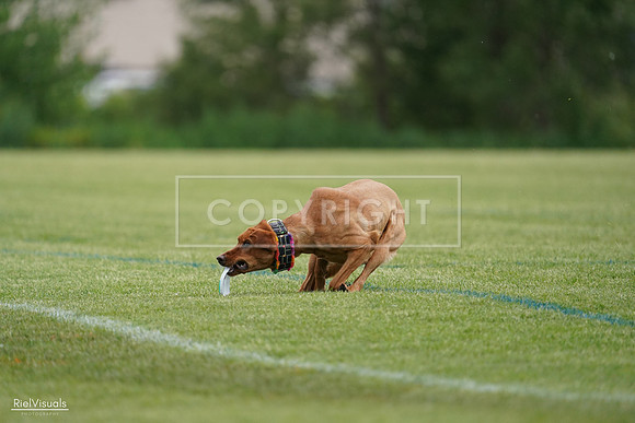 RielVisuals_20240525_160916_SJR03591