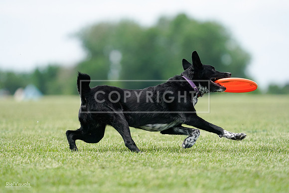 RielVisuals_20240525_124910_SJR01255