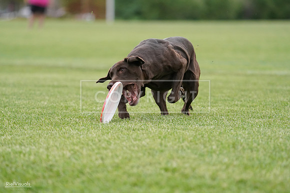 RielVisuals_20240525_162830_SJR04564