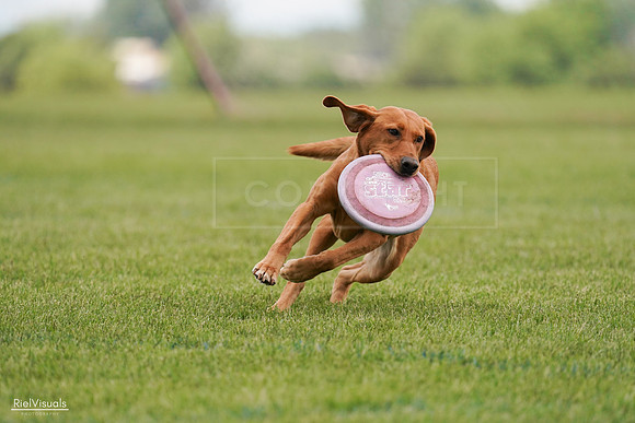 RielVisuals_20240527_141120_SJR01840