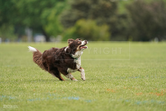 RielVisuals_20240527_132355_SJR09604